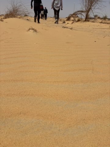 img_1226.jpg