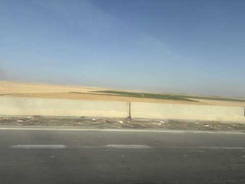 img_0958.jpg