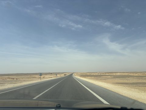 img_0993.jpg