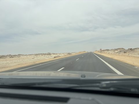 img_1008.jpg