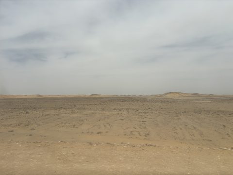img_1010.jpg