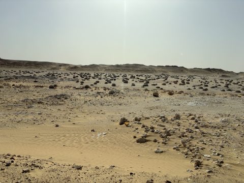 img_1290.jpg